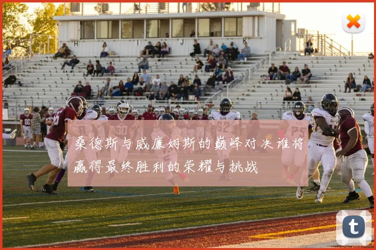 桑德斯与威廉姆斯的巅峰对决谁将赢得最终胜利的荣耀与挑战