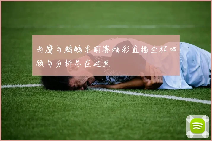 老鹰与鹈鹕季前赛精彩直播全程回顾与分析尽在这里