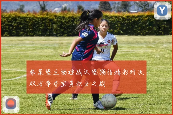 弗莱堡主场迎战汉堡期待精彩对决双方争夺宝贵积分之战