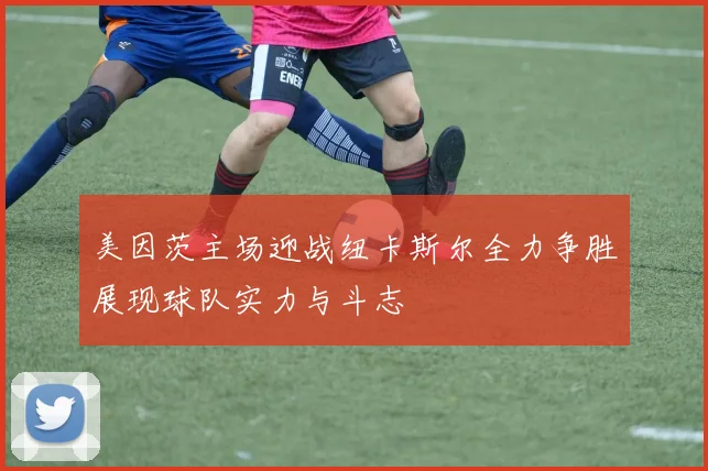 美因茨主场迎战纽卡斯尔全力争胜展现球队实力与斗志