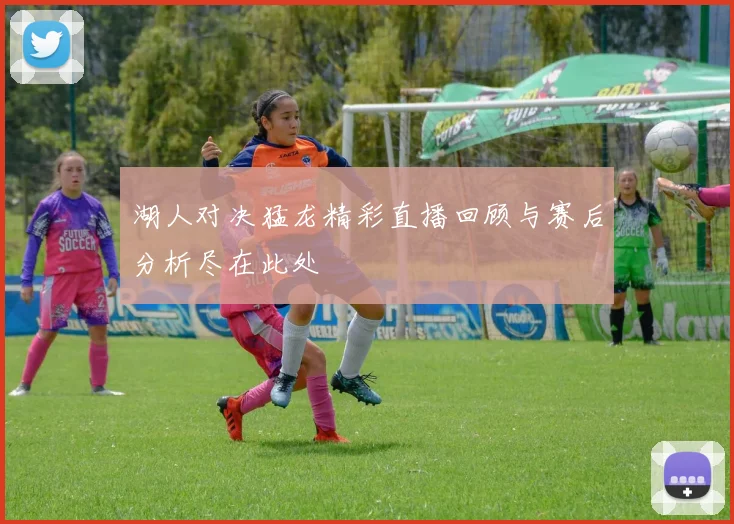 湖人对决猛龙精彩直播回顾与赛后分析尽在此处