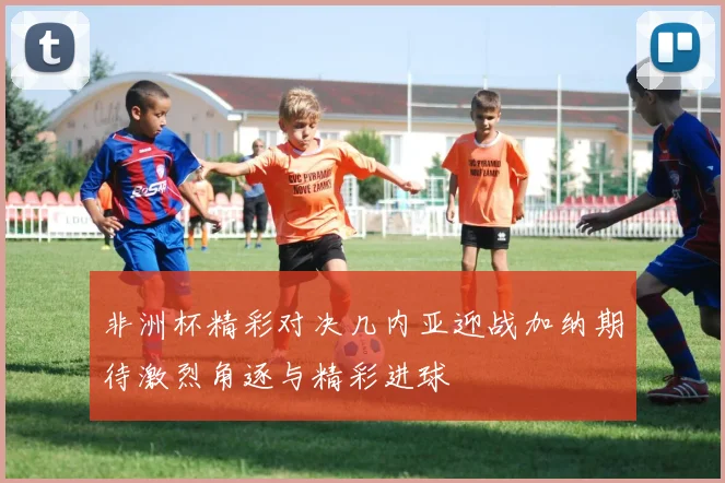 非洲杯精彩对决几内亚迎战加纳期待激烈角逐与精彩进球