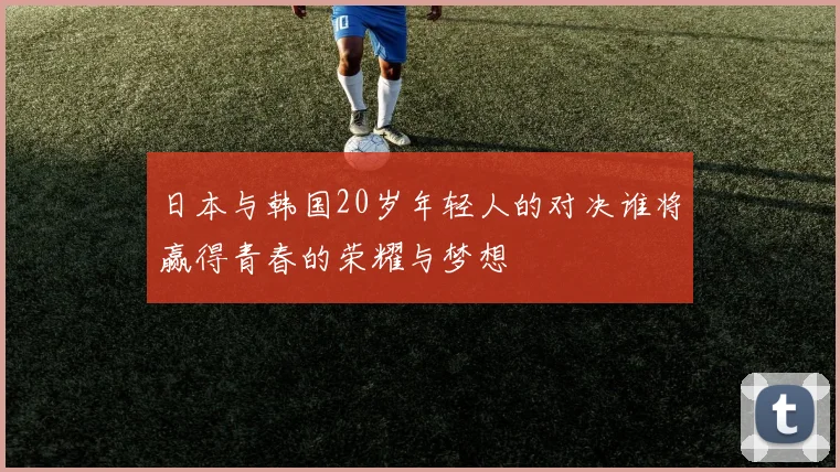 日本与韩国20岁年轻人的对决谁将赢得青春的荣耀与梦想