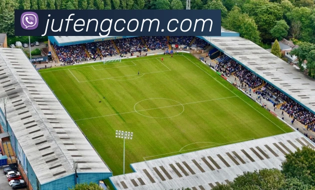 塞尔塔对阵皇马比赛前瞻及胜负走势深度分析与预测